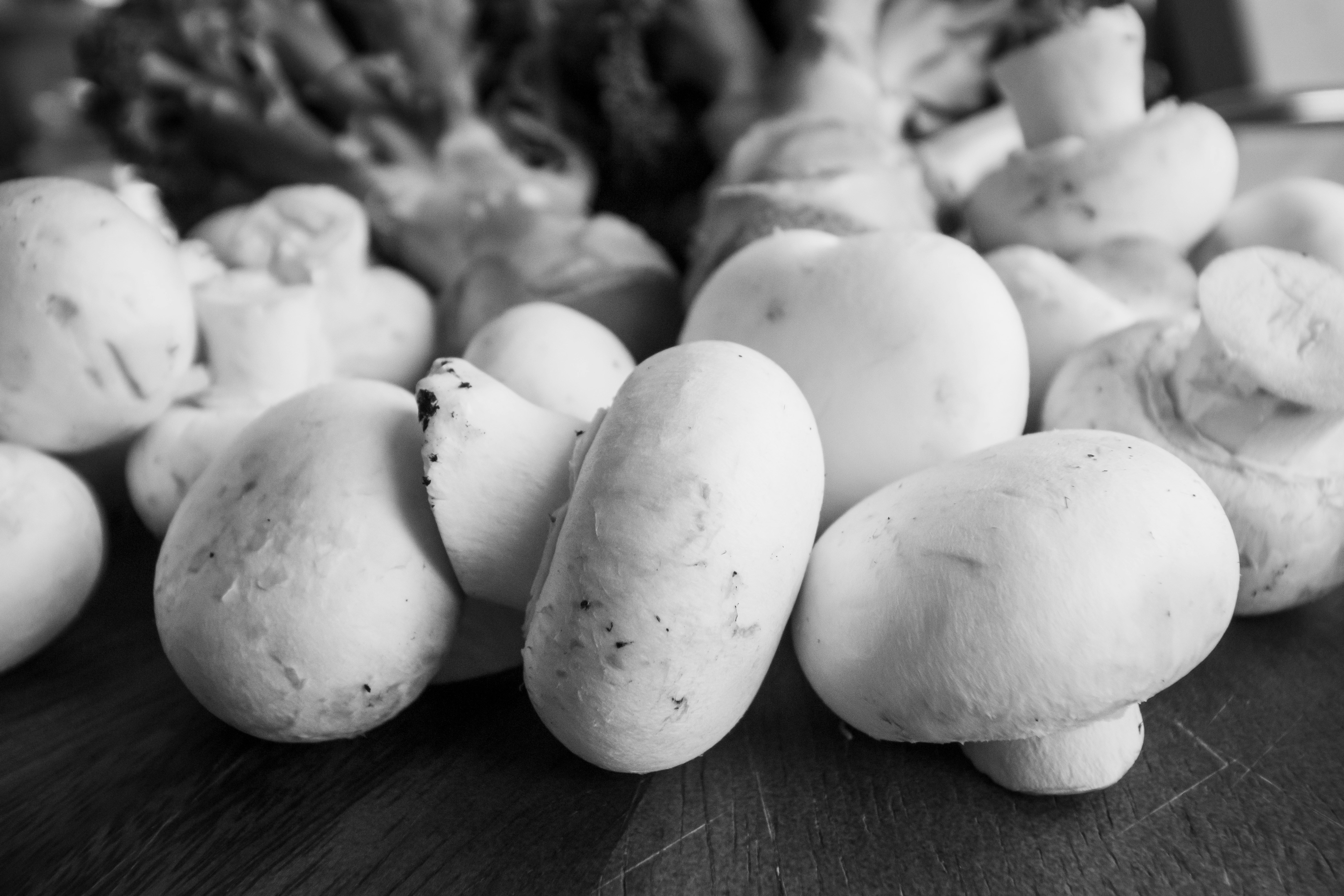 Champignon fresco Del Sud